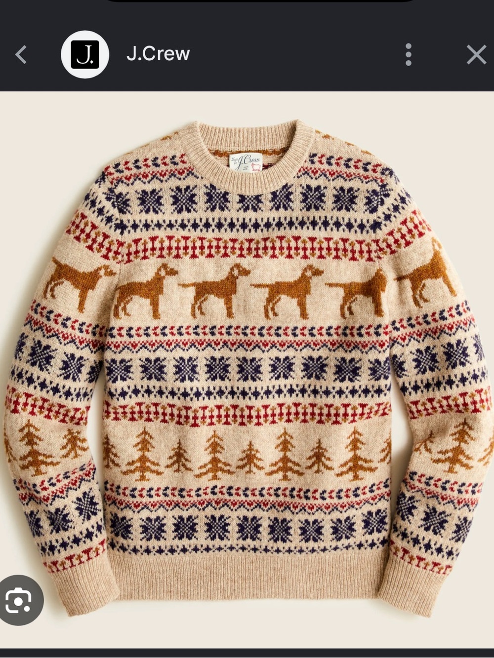 J crew medium dog print sweater
